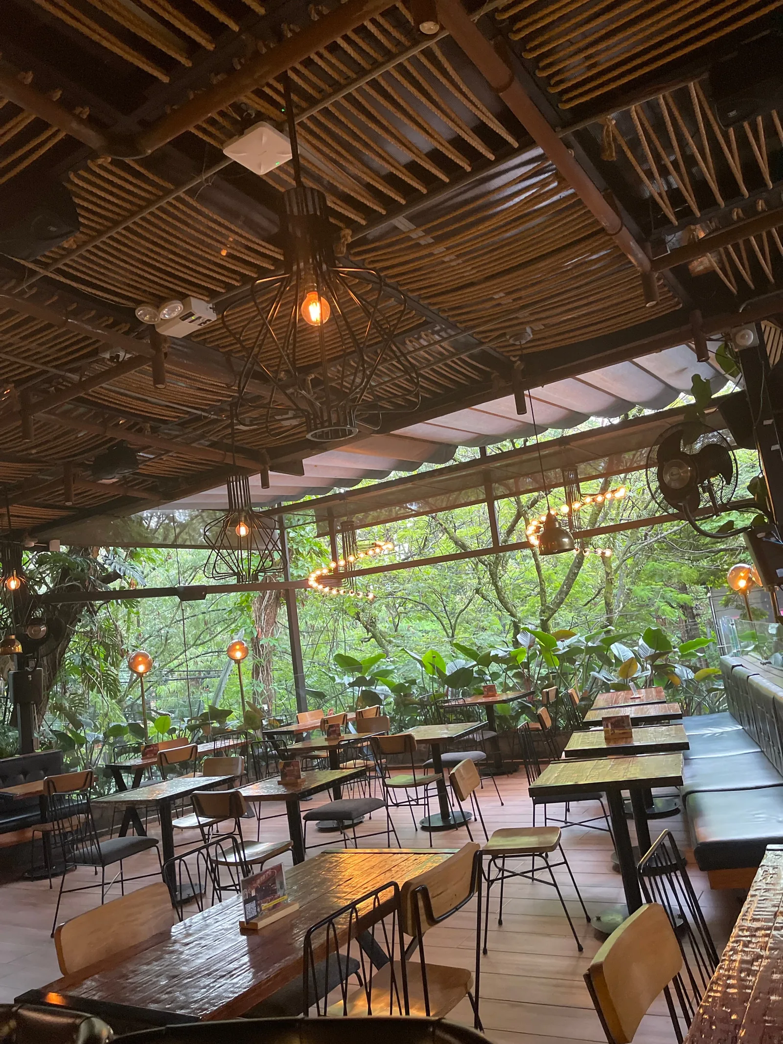 Rocoto - terrace