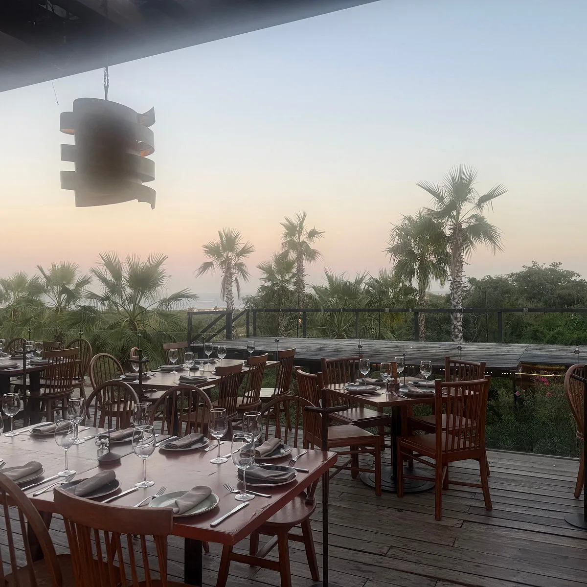 Rosa Negra Cabo, restaurants in Cabo 3