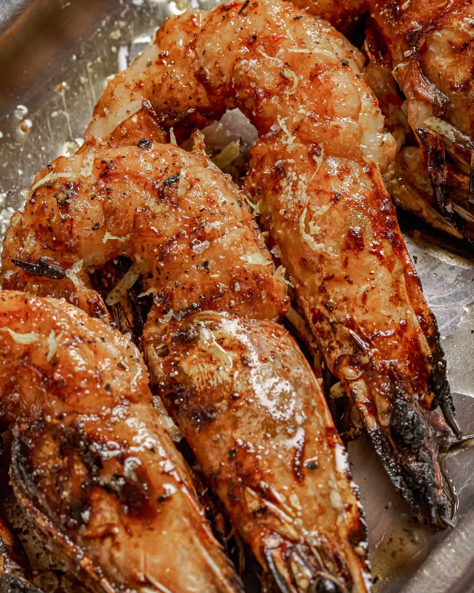 Salazar - grilled head on shrimp
