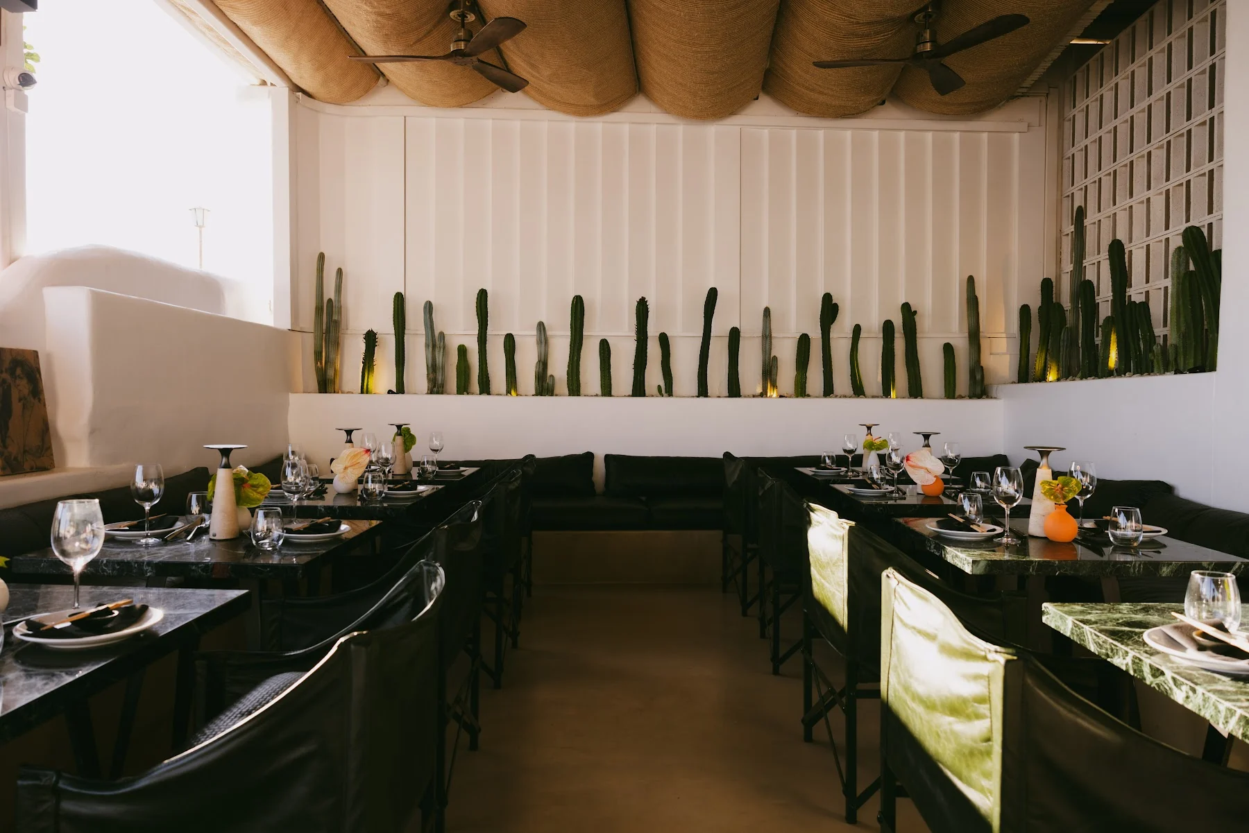 Sappho - dining room cactus wall