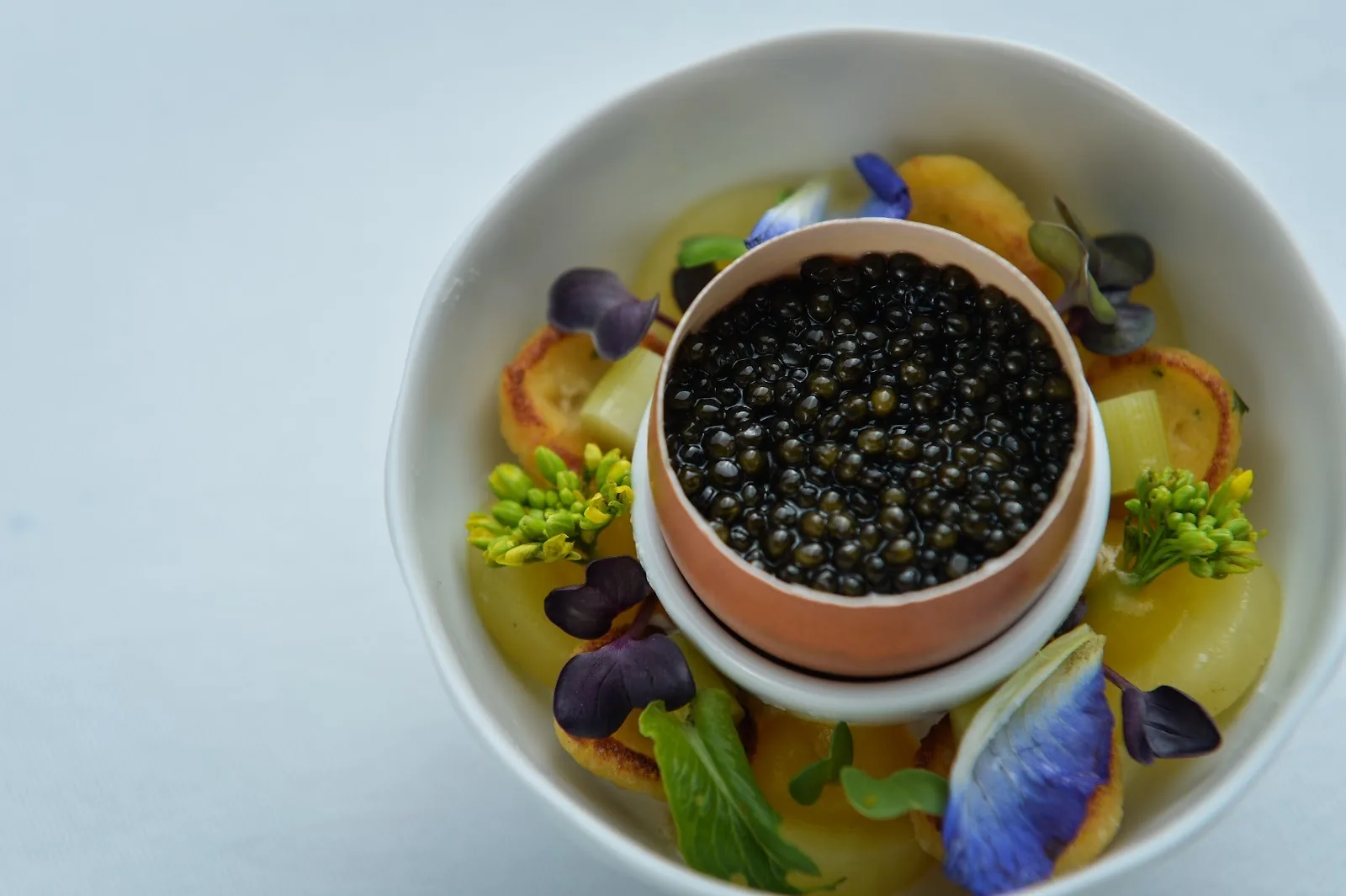 Savelberg - caviar course plated over citrus