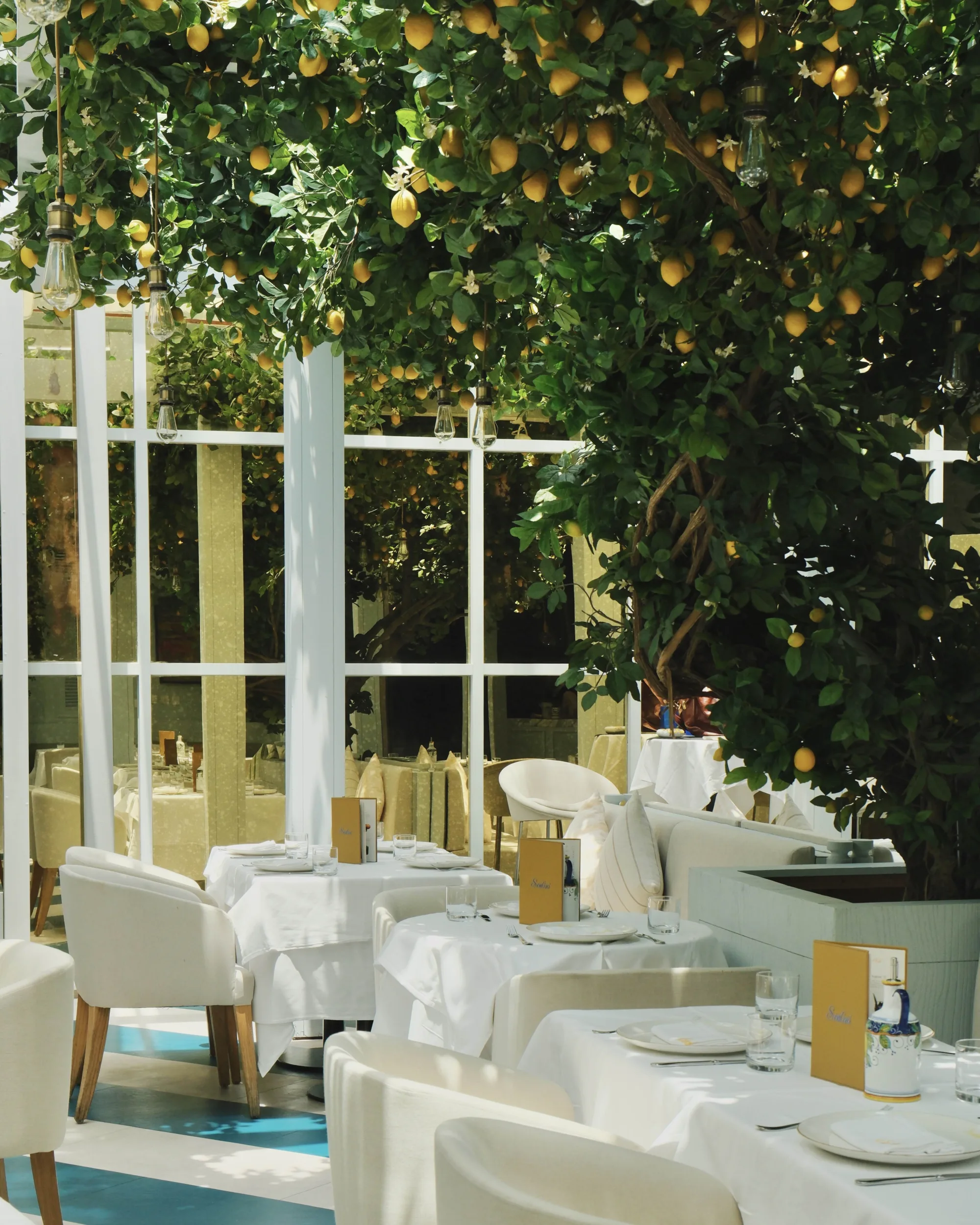 Scalini - lemon tree terrace