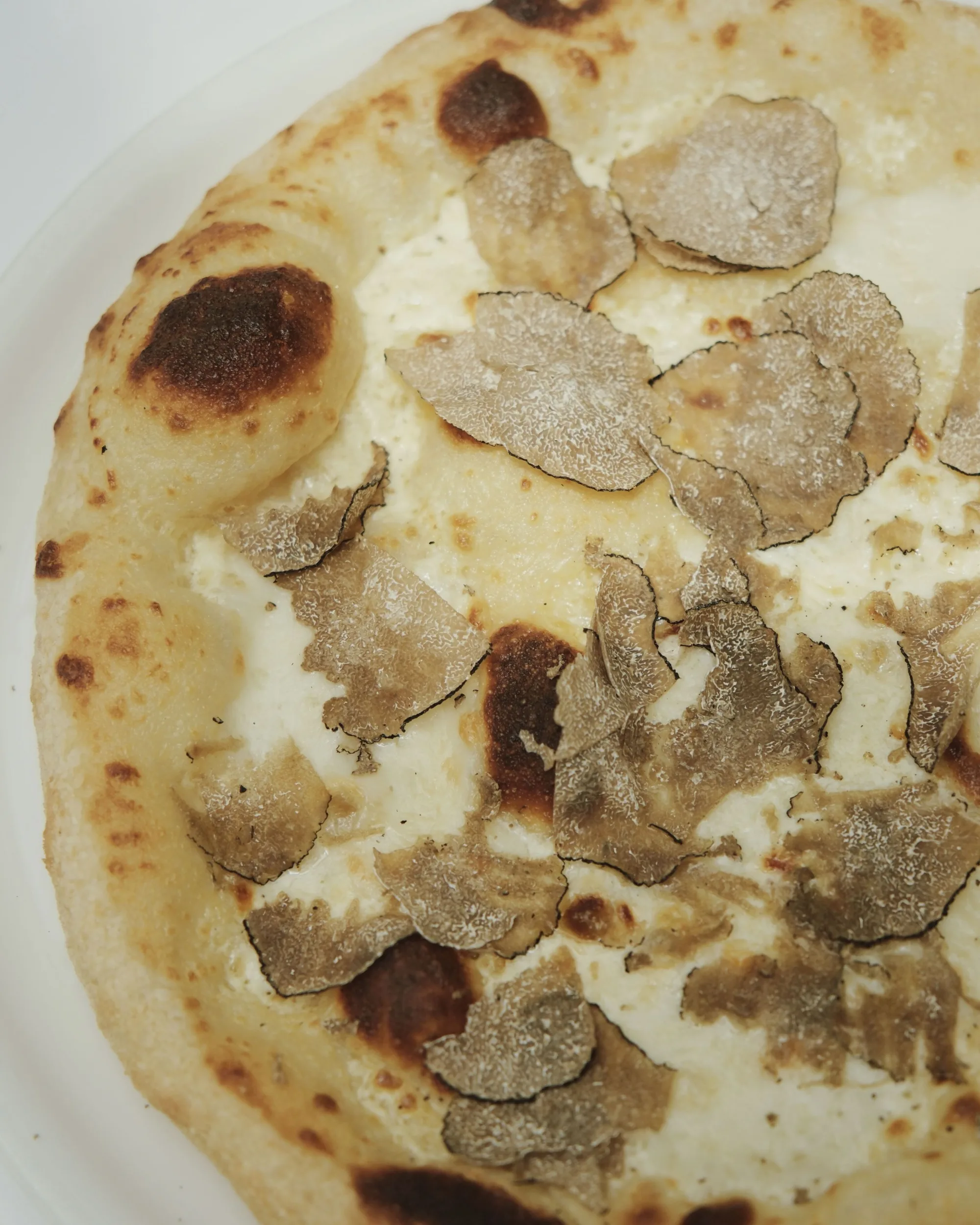 Scalini - truffle pizza