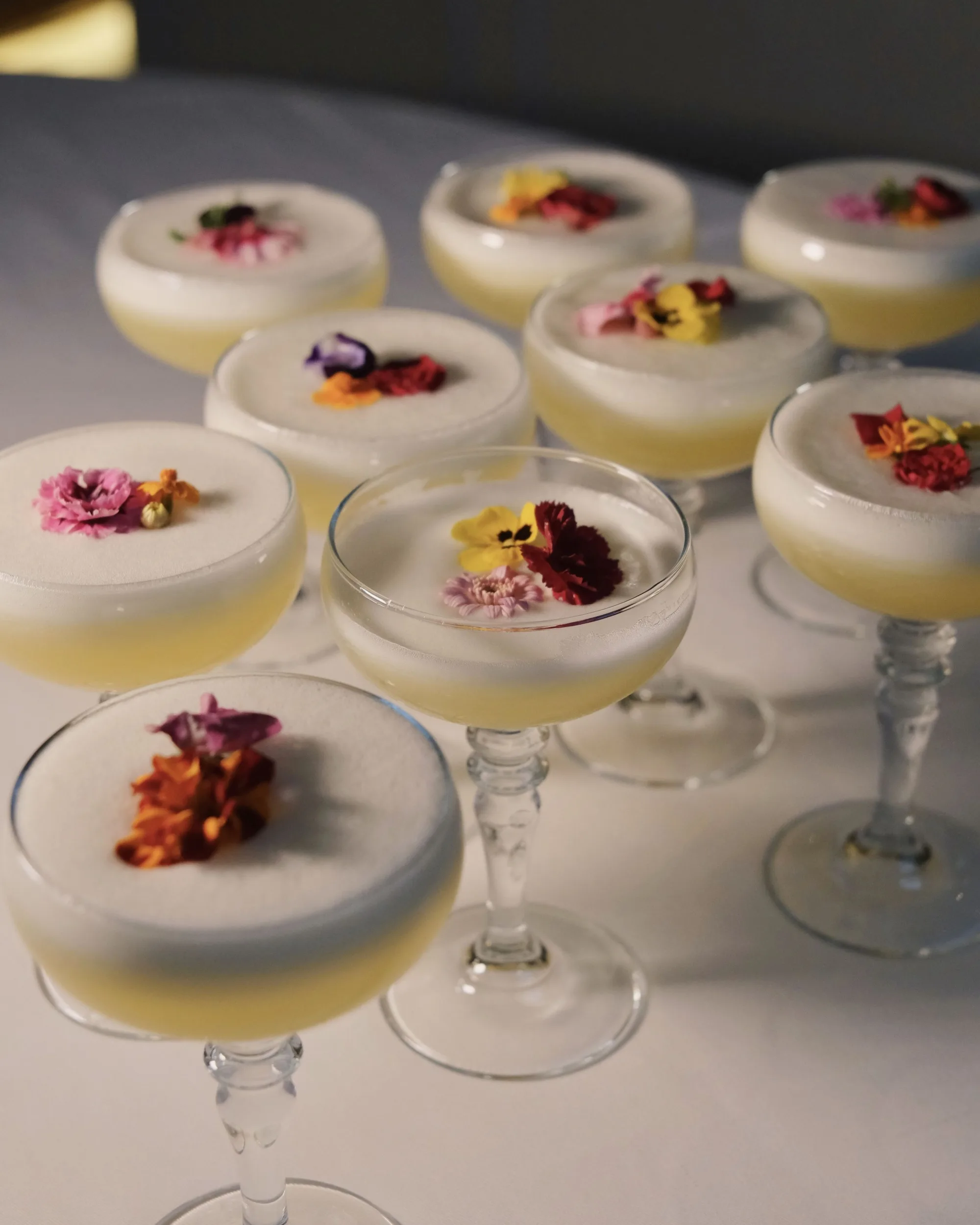 Scalini - panna cotta