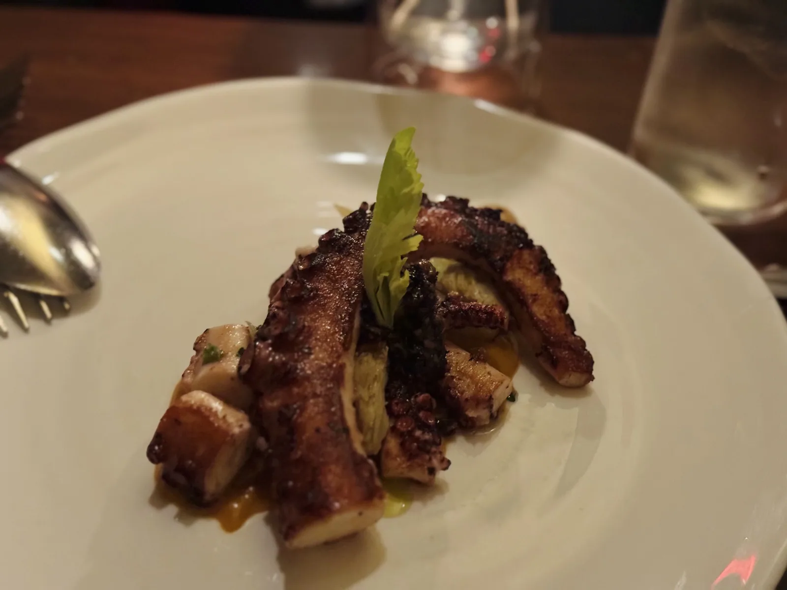 Scarpetta - grilled octopus