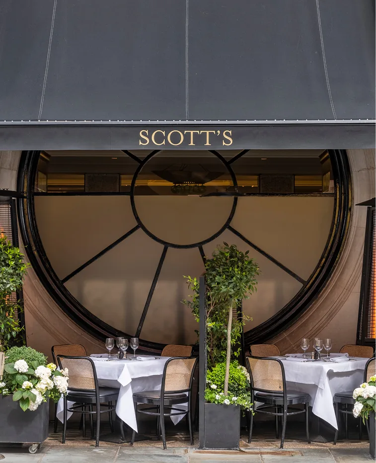 Scott's - restaurant in London