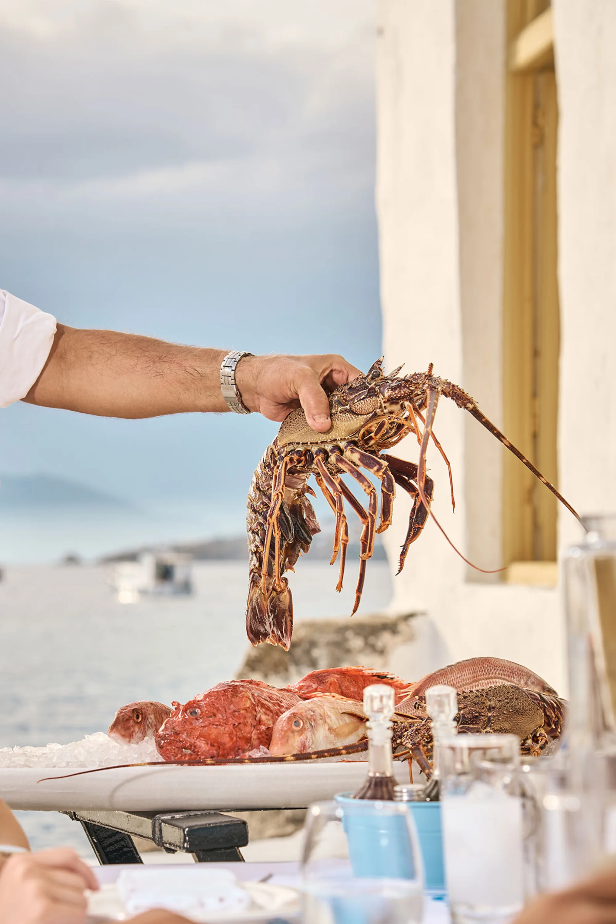 Sea Satin - fresh lobster seaside