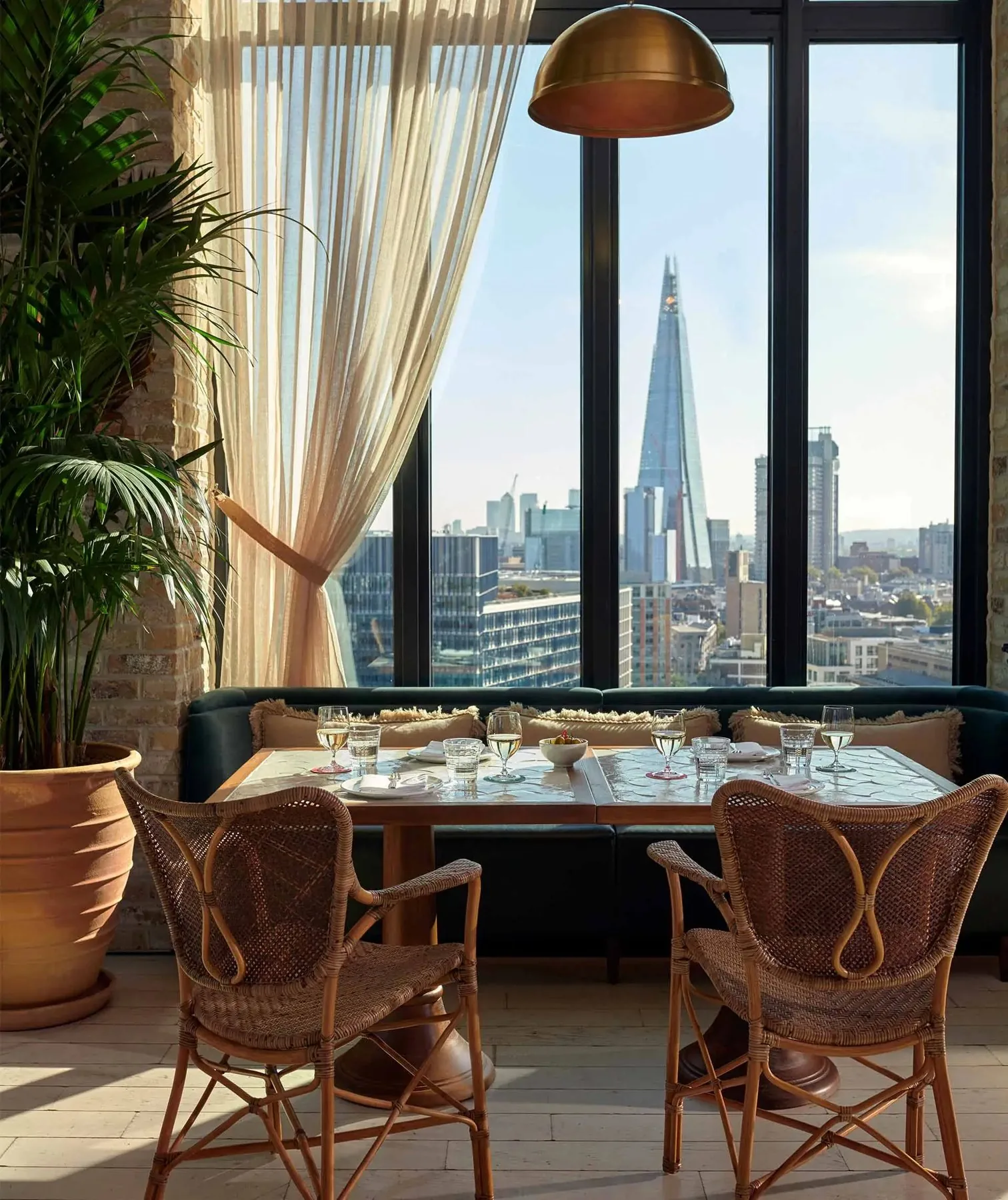 Seabird - london