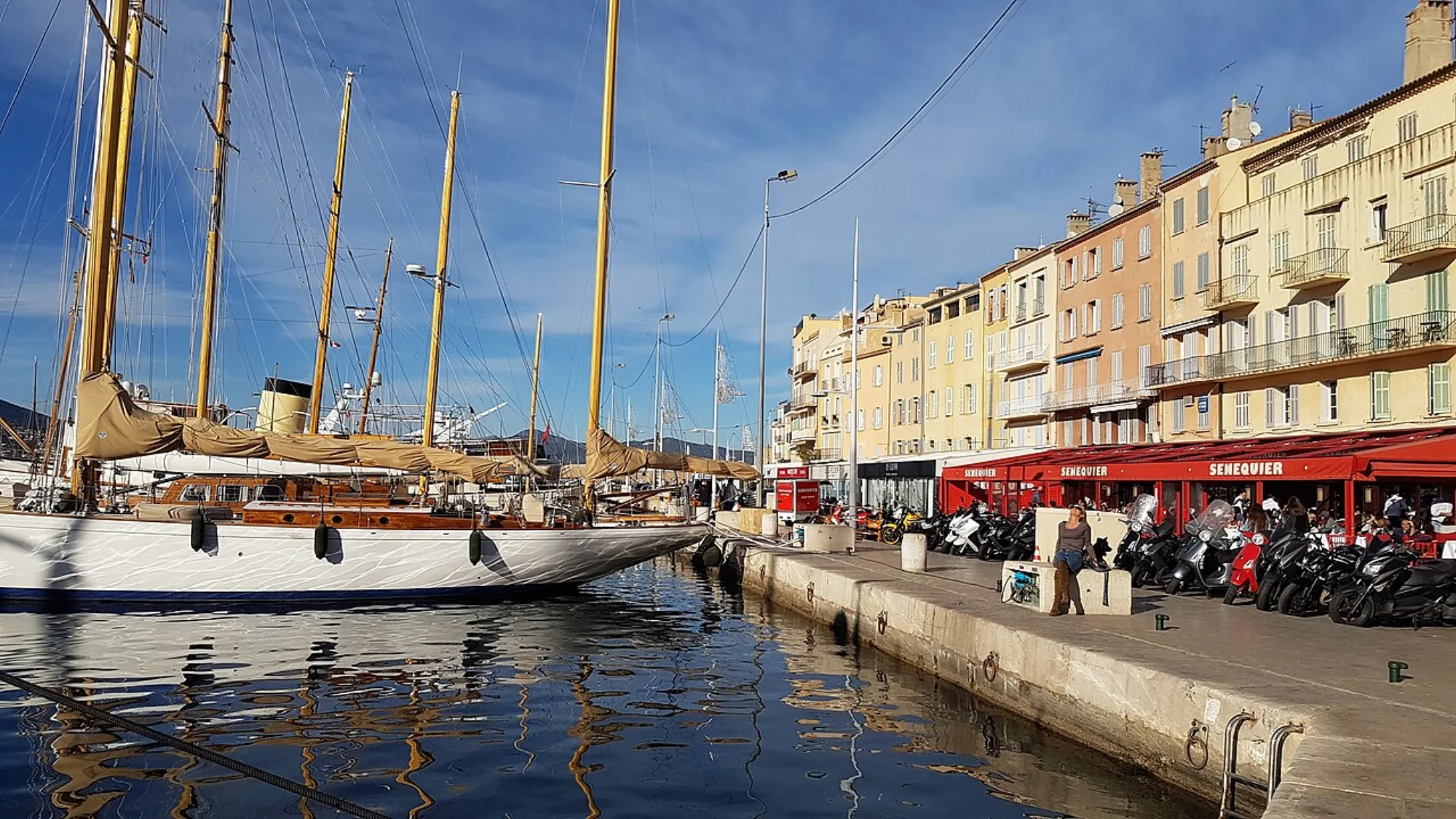 Senequier - vieux port view