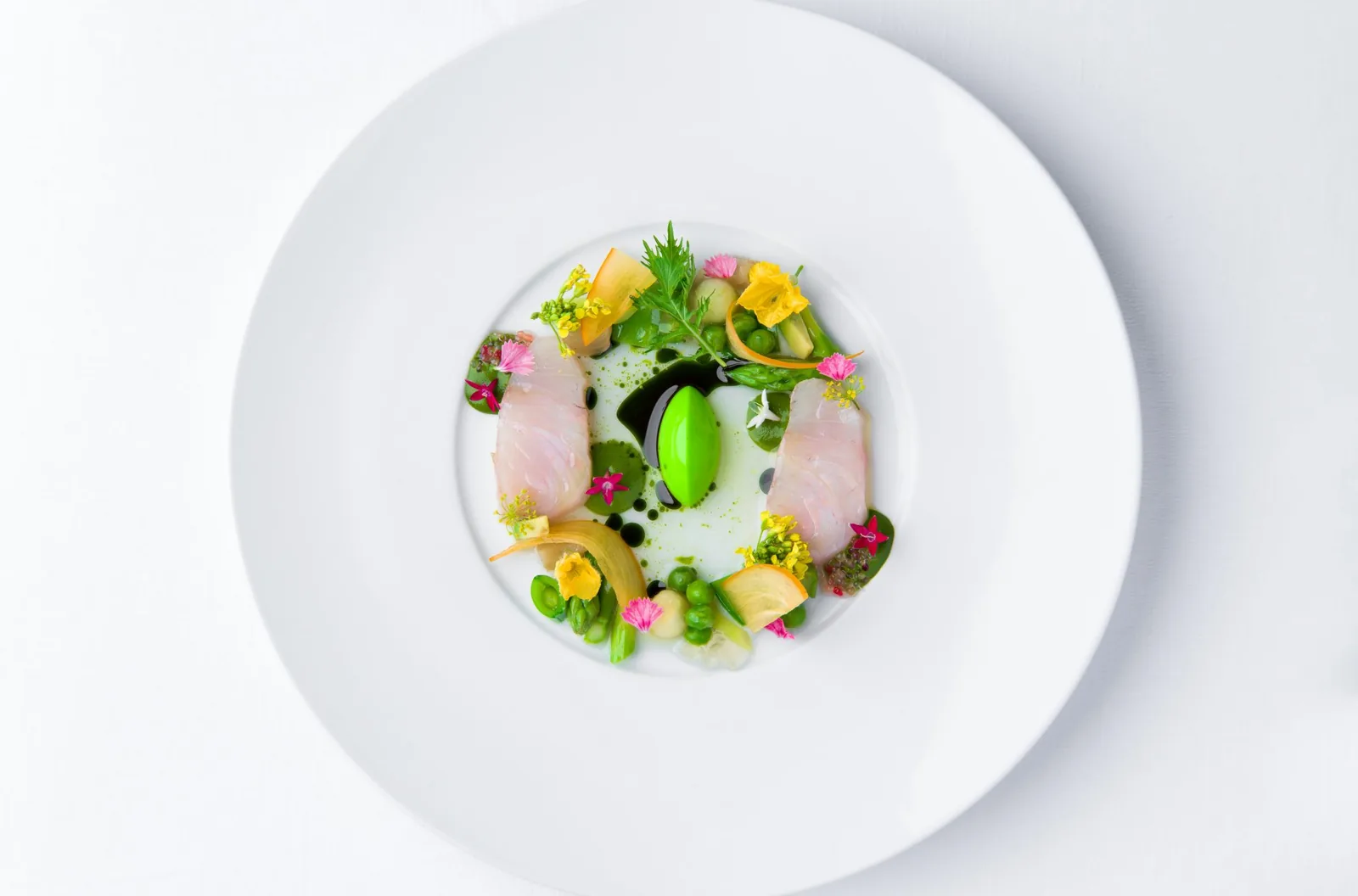 Sirocco - plated dish