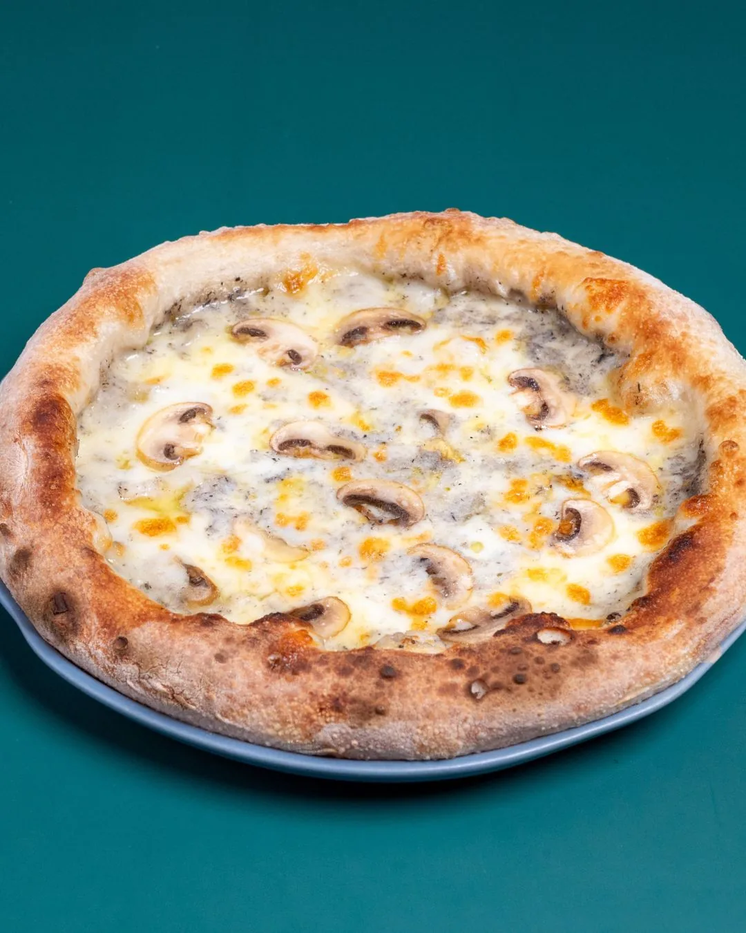 Sky on 20 - truffle pizza