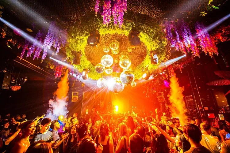 Somewhere Nowhere - night club 2