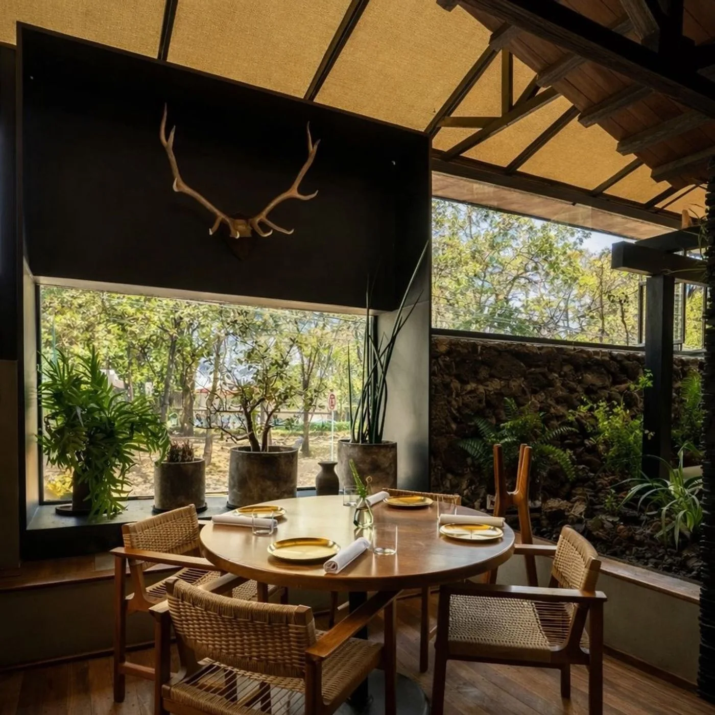 Sud 777 - restaurant in Mexico City
