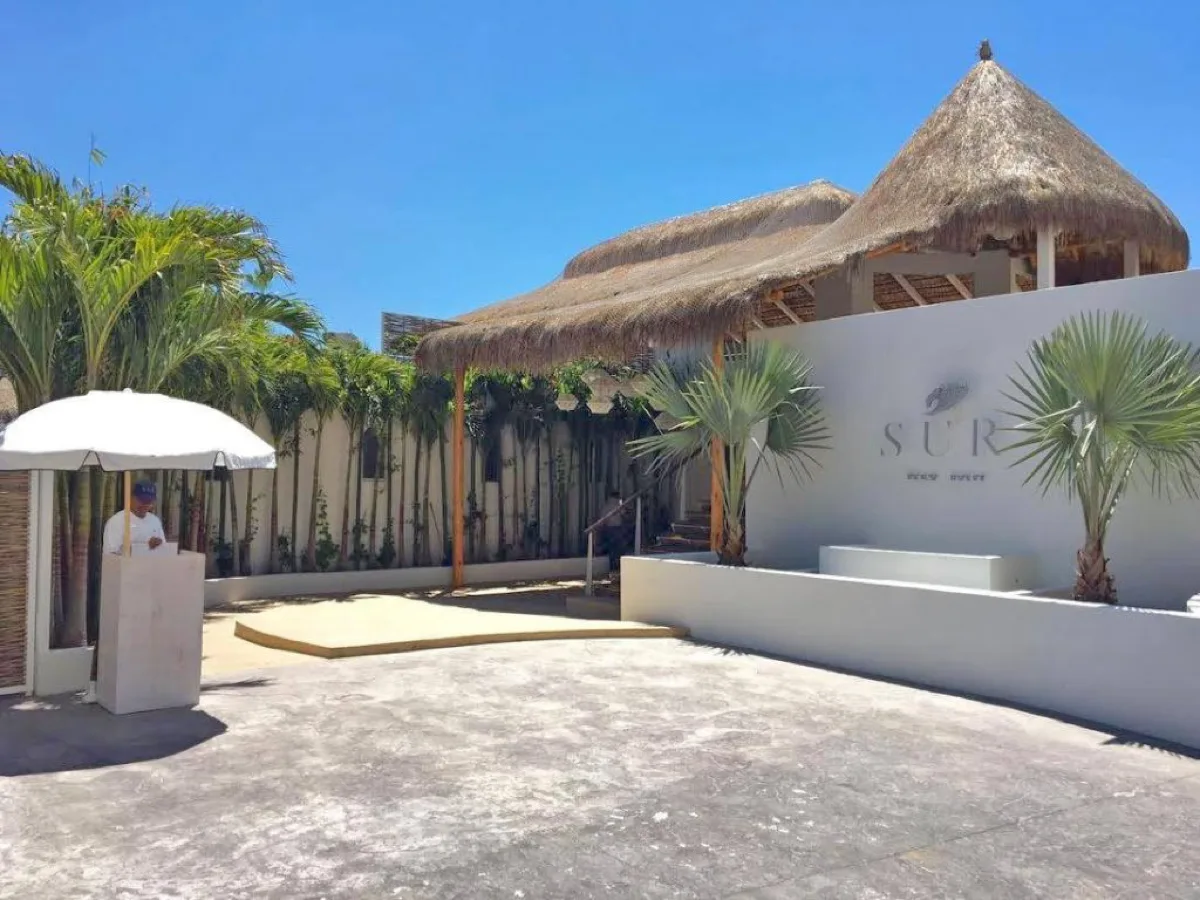 SUR Beach House, dayclubs in Cabo 6