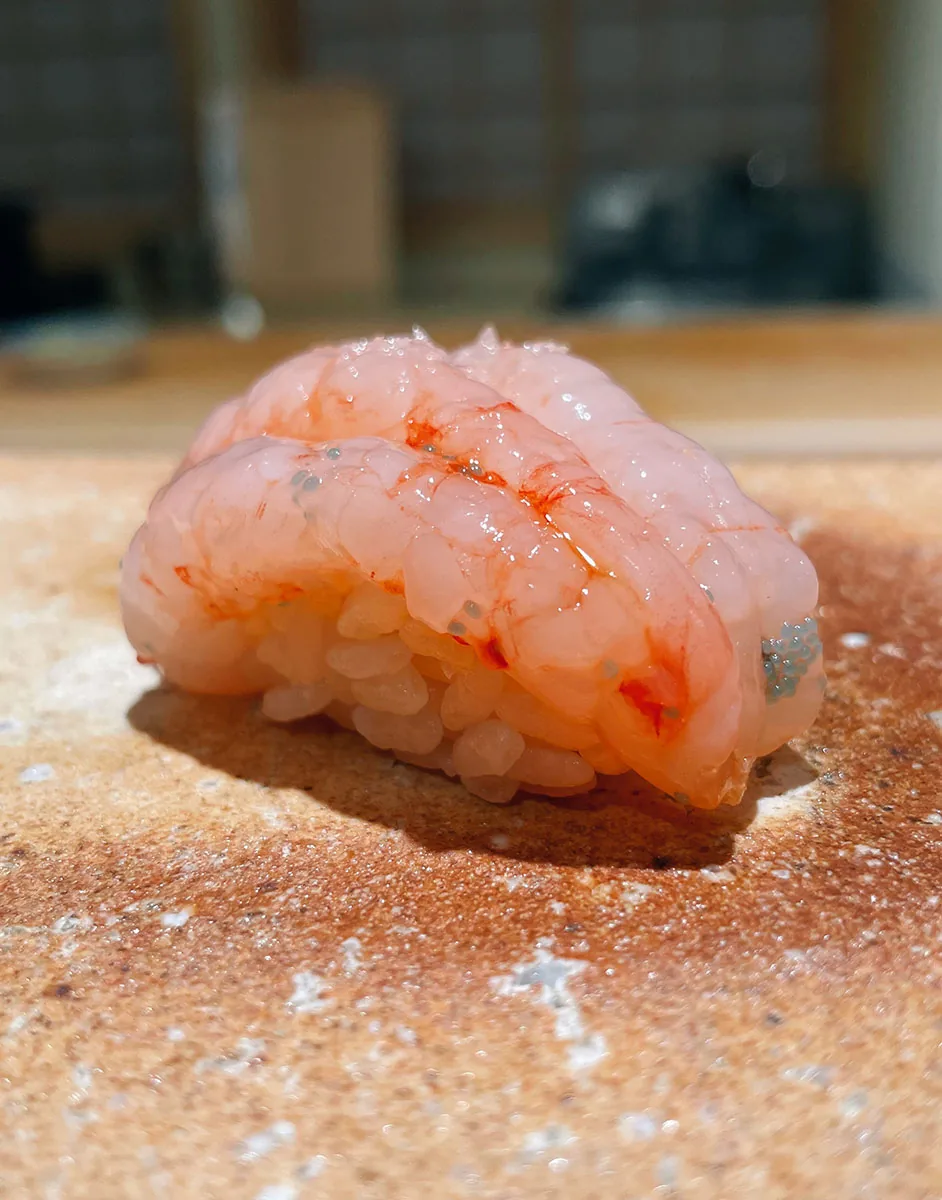 Sushi Masuda - nigiri amaebi