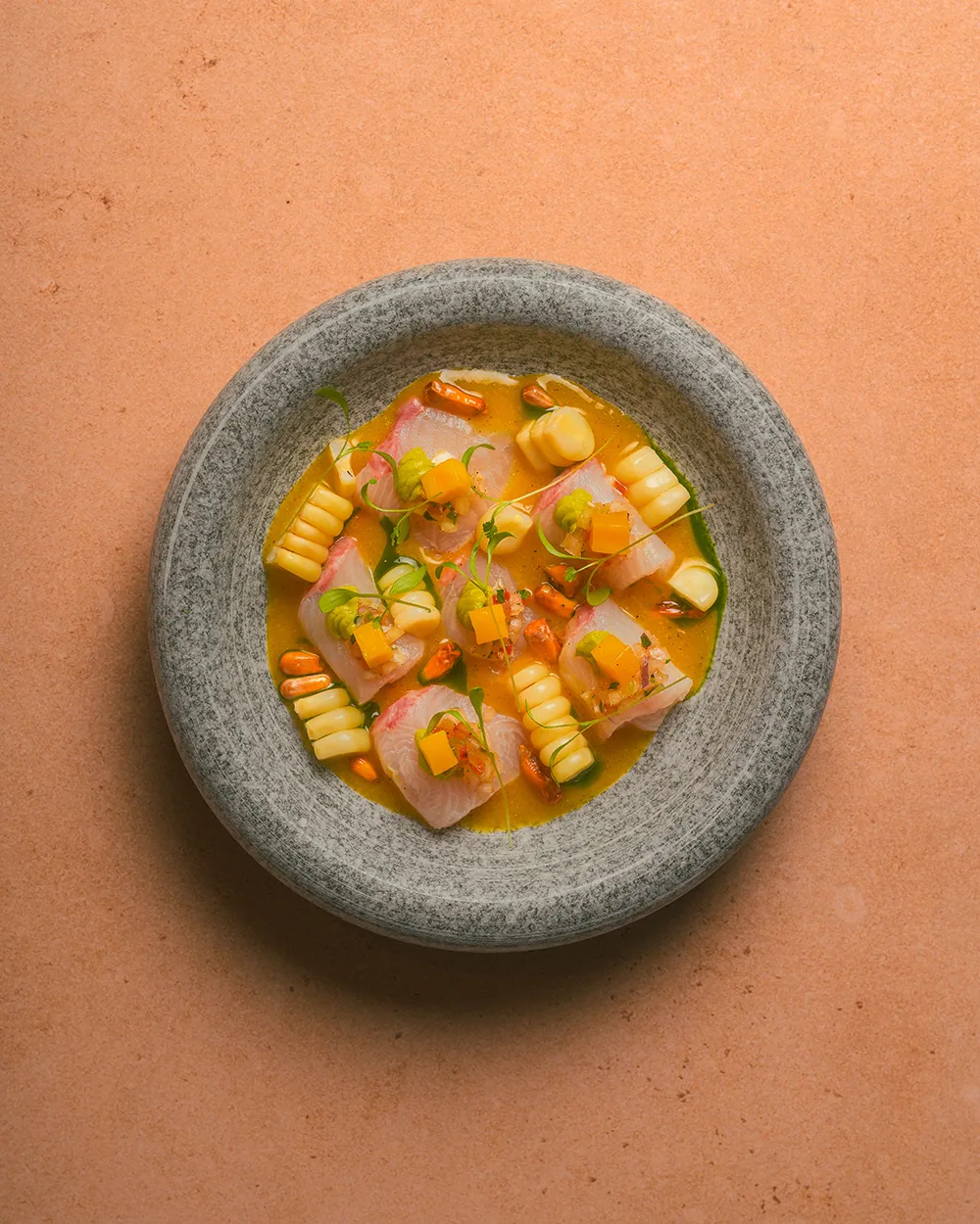 SUYO Modern Peruvian - ceviche