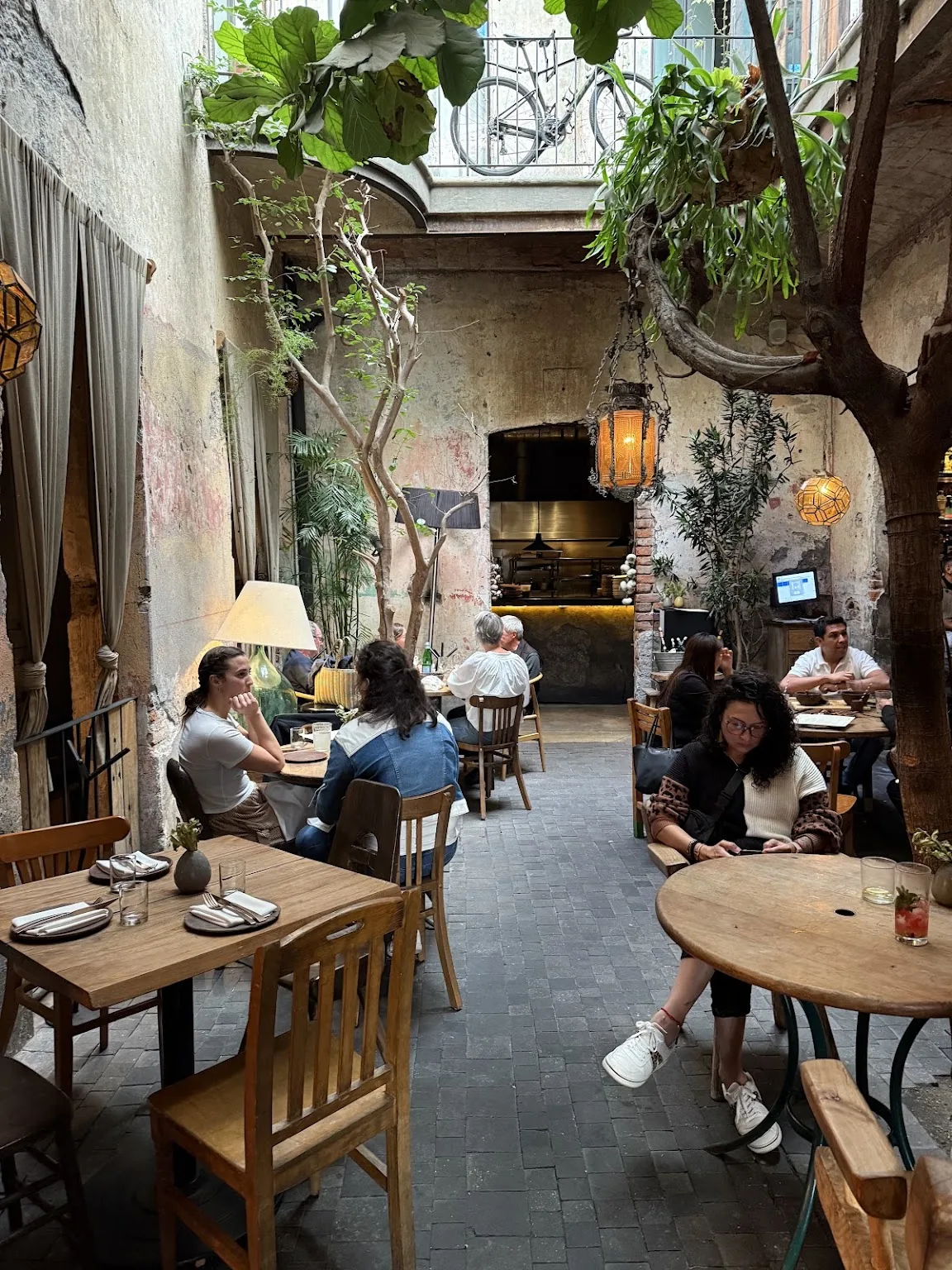 Taverna - patio dining among the greenery