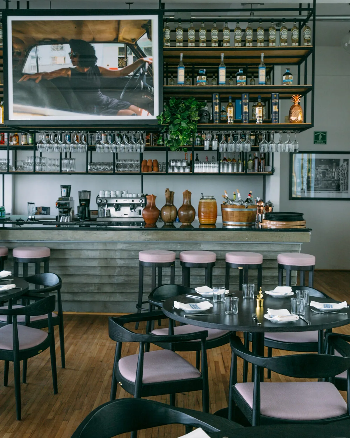 Terraza Cha Cha Cha - bar counter with stools and bottle displ