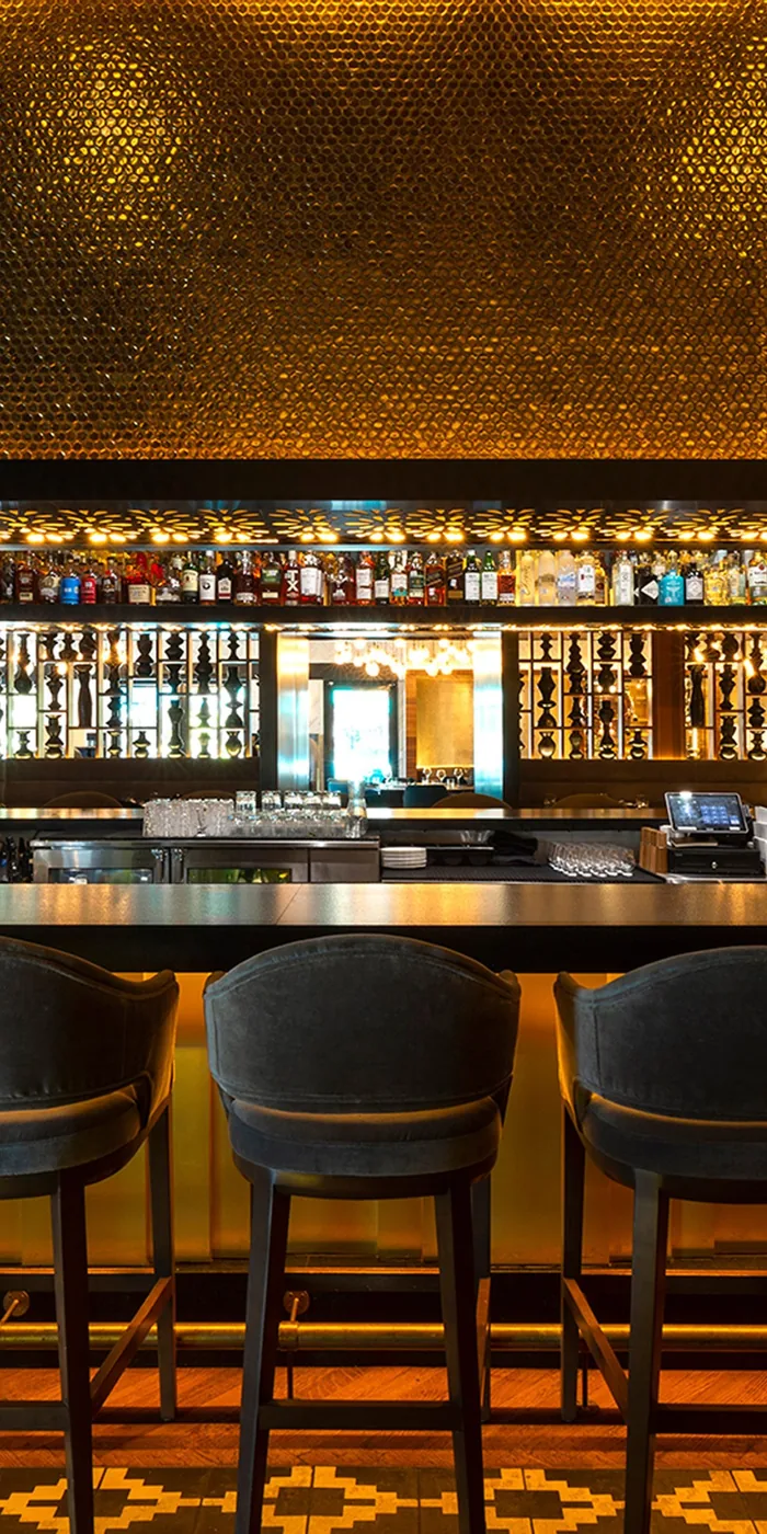 The Mexican - mesh ceiling bar