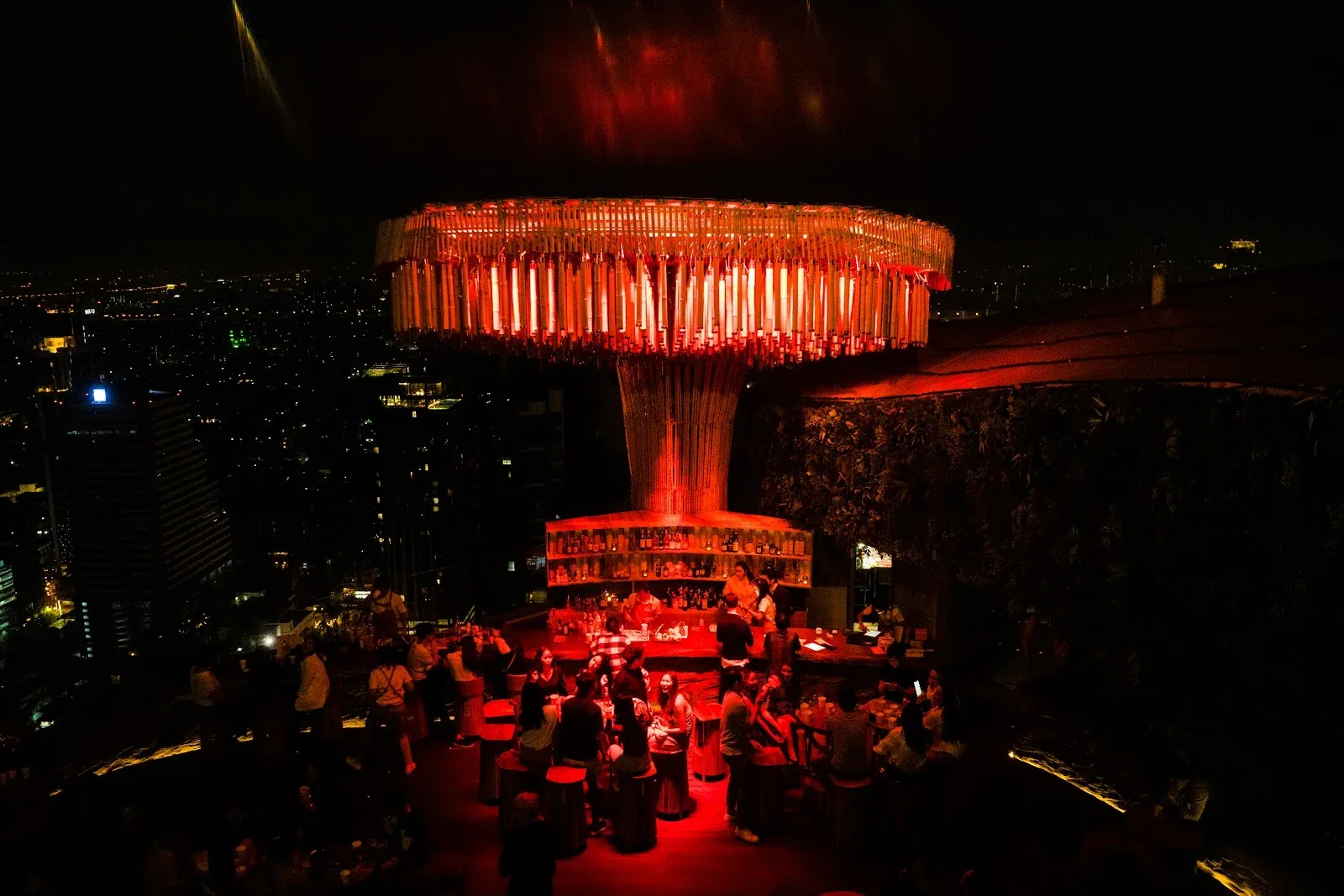 Tichuca Rooftop Bar - add illuminated tree canopy night skyline