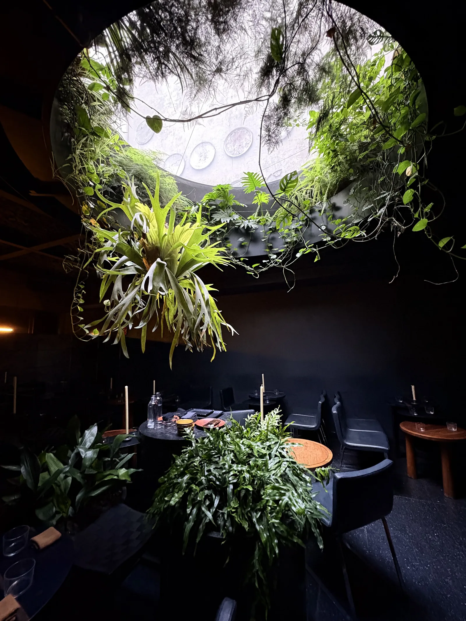 Ticuchi - interior skylight greenery ring