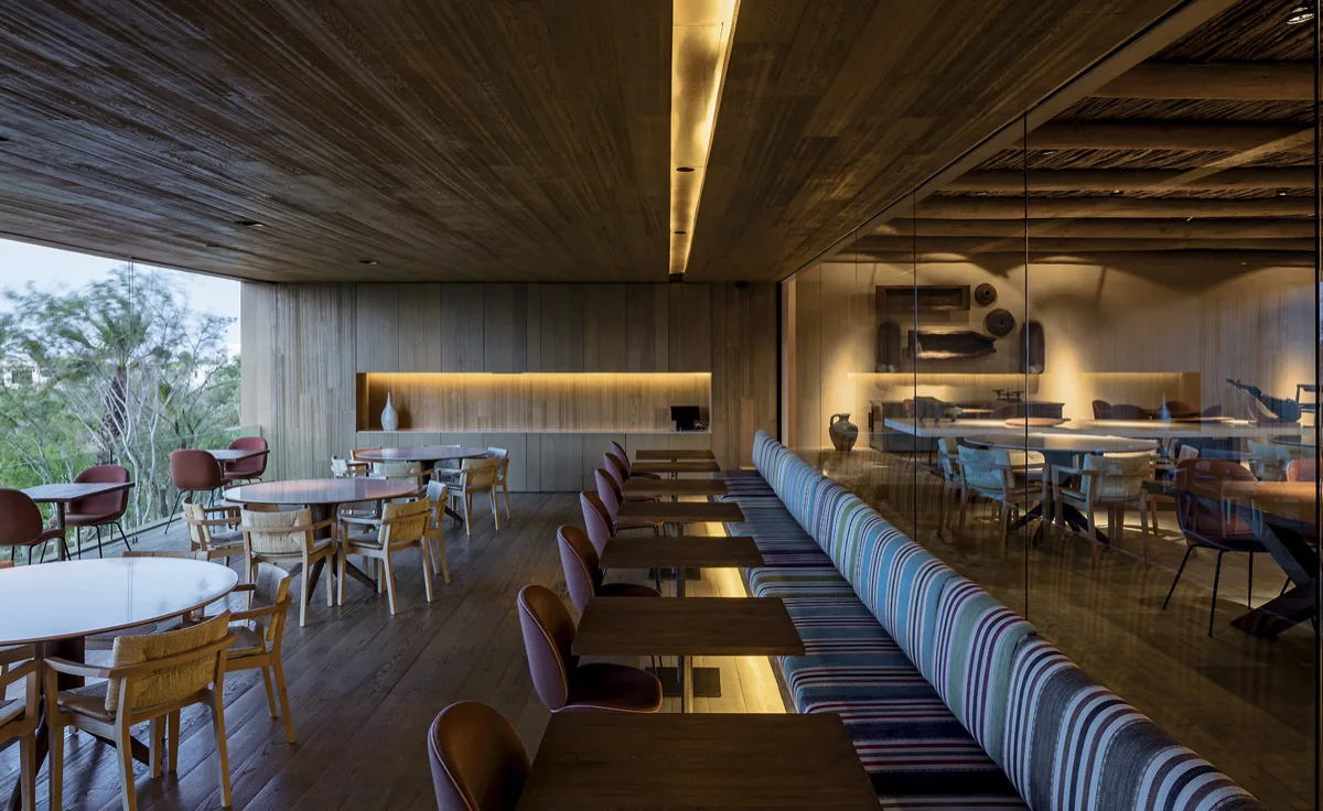 Toro Latin Kitchen & Bar, restaurants in Cabo 2