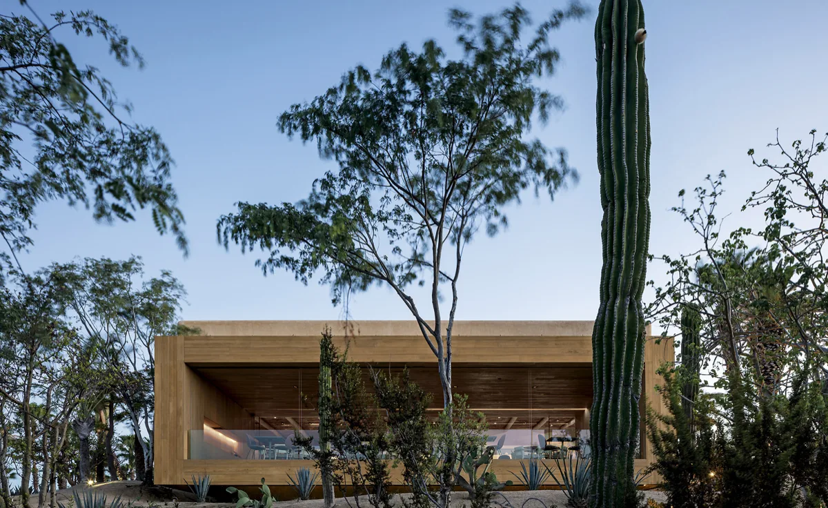 Toro Latin Kitchen & Bar, restaurants in Cabo 3