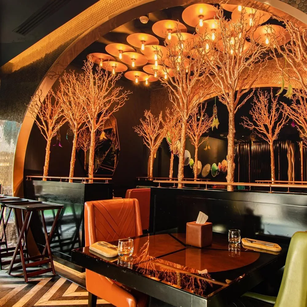 Tresind - tree lounge