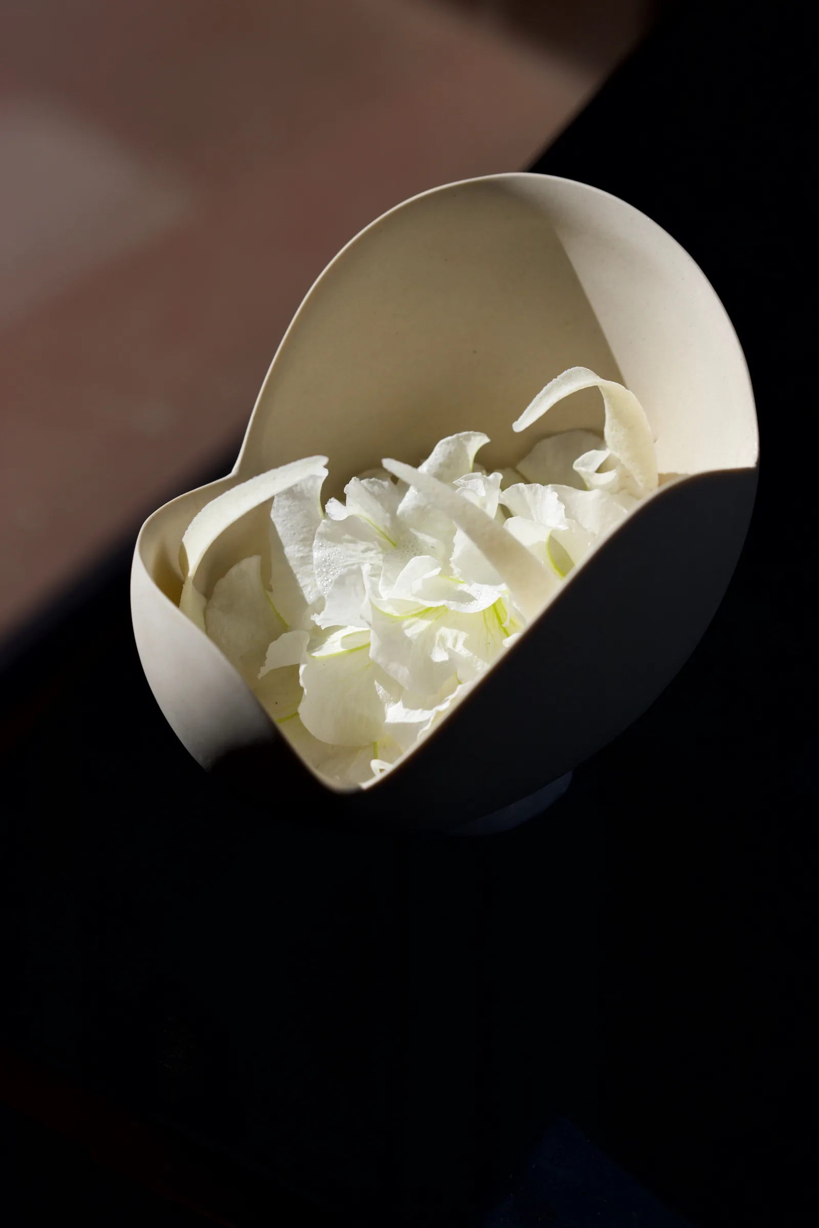 Vespertine - paper vessel course