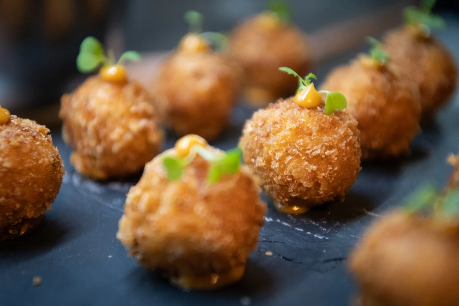 Water Library - fried croquettes