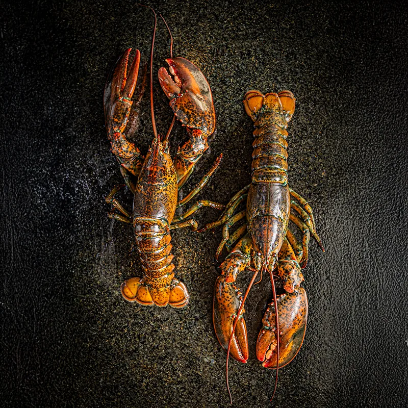 Zeru - Lomas - lobster and langoustines